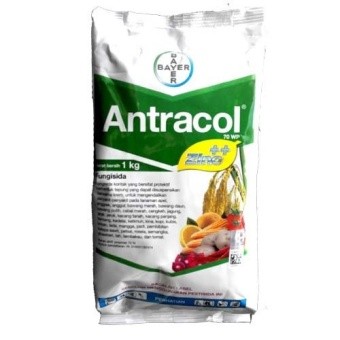 Fungicid -  Antracol 70 WG   1 kg