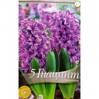 Bulbi Zambile Miss Saigon