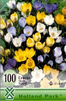 Crocus Botanical mixed ( 100 bulbi )