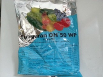 Fungicid - Funguran OH 50 WP  300 gr