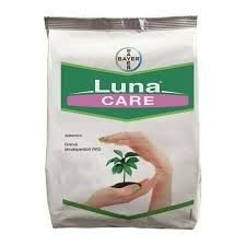 Fungicid - Luna Care 71.6 WG, 1 kg