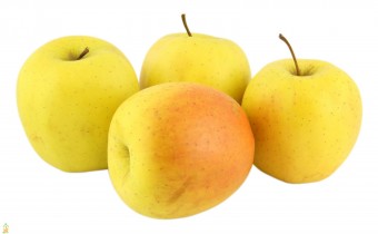 Mar Golden Delicious M9 (ghiveci 5 L, 120 - 160 cm)