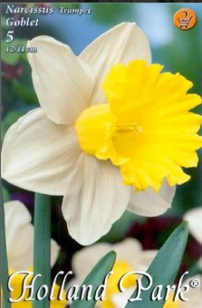 Narcissus Trumpet Goblet