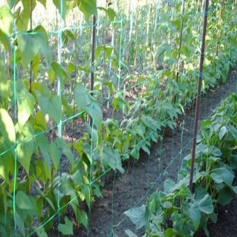 Plasa suport pentru legume cataratoare si flori de taiat 1,2*5 m