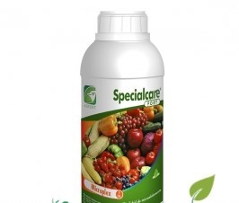 Ingrasamant Specialcare®FORT Microplex 1 - 1 litru