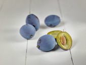 Prun Blue Frost(St. Julien) ghiveci 4L, H 140-160 cm 