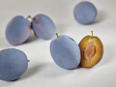 Prun TopHitⓈ (Mirobolan 29C)