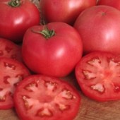 Seminte - Tomate Lillagro 3000sem